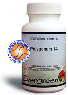Polygonum 14™ by Evergreen Herbs